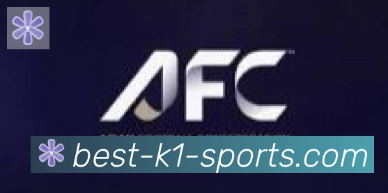 k1体育合作伙伴
